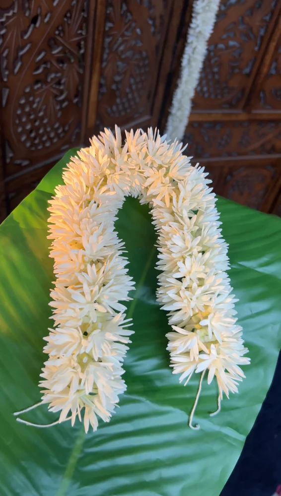 Oosi Malli (15 Inch)